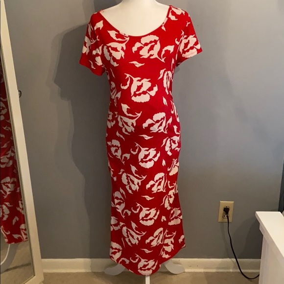 Isabel Maternity Dress 